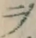 𡨸ヲ