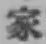 글자 家