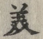 已定位美