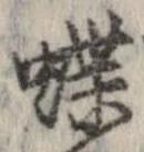 已定位蝶