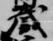 已定位蔵