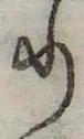 𛃲の位置