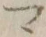𡨸マ