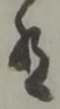 字有