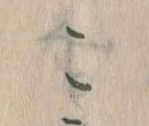 この位置