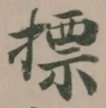 摽の位置