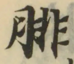 腓の位置