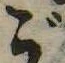 ご 위치 확인됨