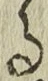 文字る