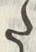 “た”字