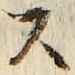 Chữ ス
