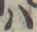 𛂞の位置