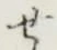 글자 せ