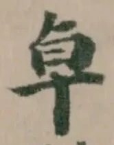 Đã định vị 卓