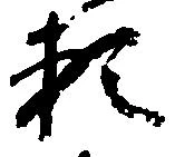 已定位頼