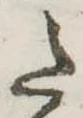 𛁠 위치 확인됨