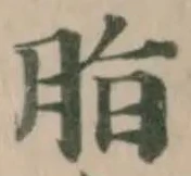 Đã định vị 脂