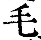 글자 毛