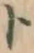 字ト