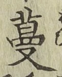 Chữ 蔓