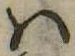 Đã định vị 𛂞