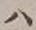 字ハ