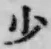 文字少