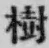 글자 樹