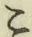 文字こ