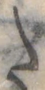 Đã định vị 𛁠