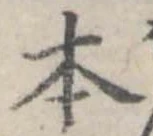 本 위치 확인됨