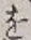 글자 を