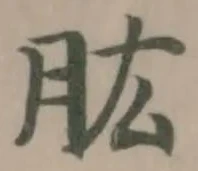 肱の位置