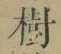 글자 樹