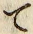 字て