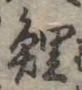 鯉の位置