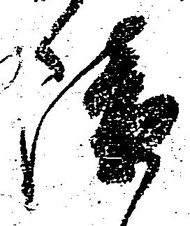 障 위치 확인됨