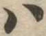 𛂞 위치 확인됨