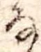 𛂂 위치 확인됨