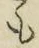 글자 も