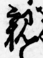 位置 確認된 親