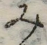 位置 確認된 未指定