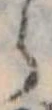 𛃰 위치 확인됨