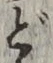 文字 ど