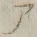 文字 ア