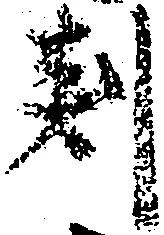 已定位判