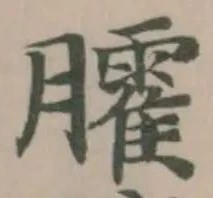 臛の位置