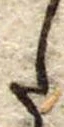 𛁠 위치 확인됨