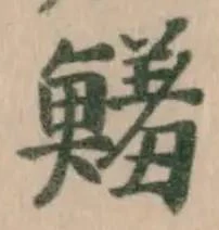 鱃 위치 확인됨