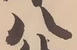 文字八